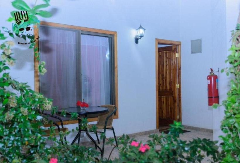 הוסטל Hostal Y Cabañas Aorangi