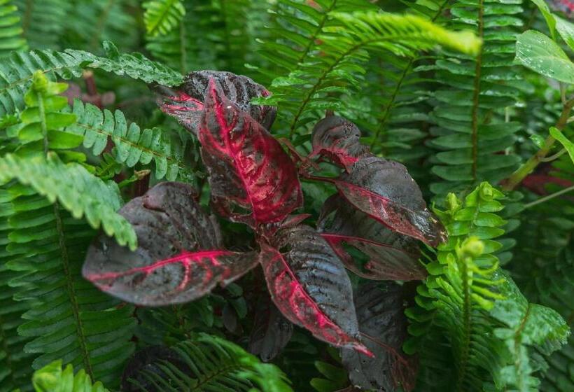 הוסטל Hostal Y Cabañas Aorangi