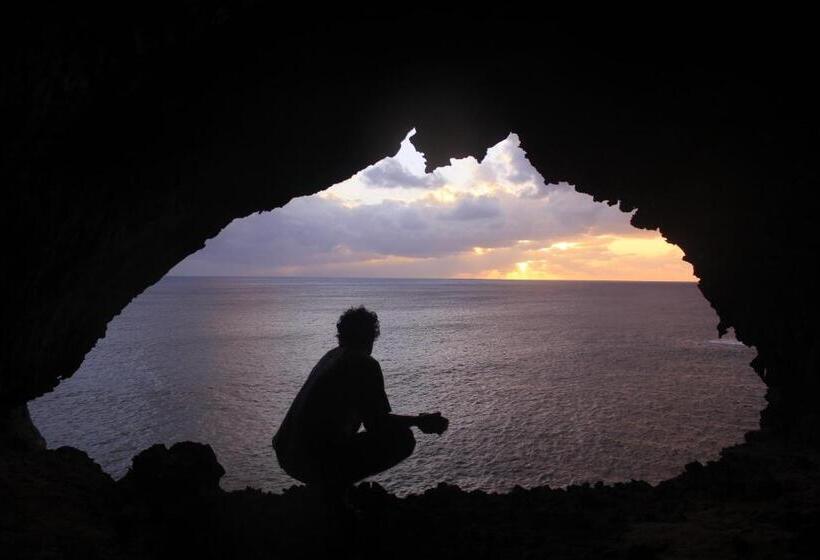 הוסטל Hostal Y Cabañas Aorangi