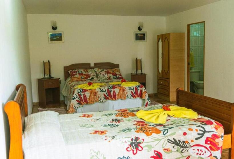 호스텔 Hostal Y Cabañas Aorangi