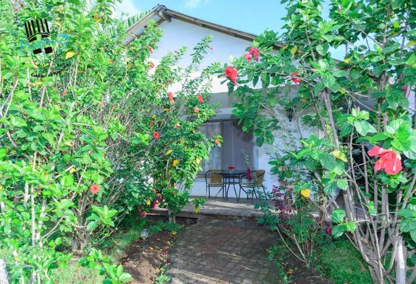 הוסטל Hostal Y Cabañas Aorangi