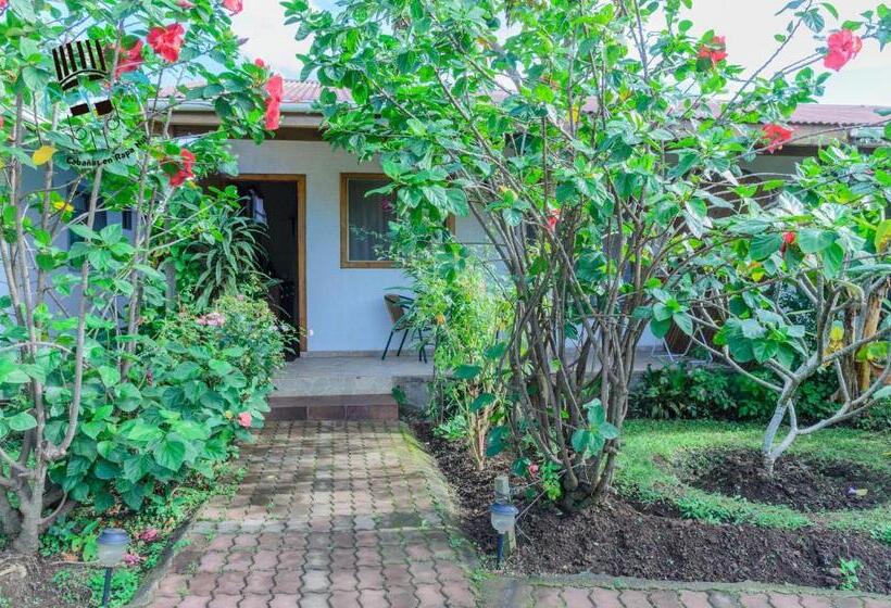 הוסטל Hostal Y Cabañas Aorangi