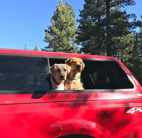 민박 Fireside Lodge