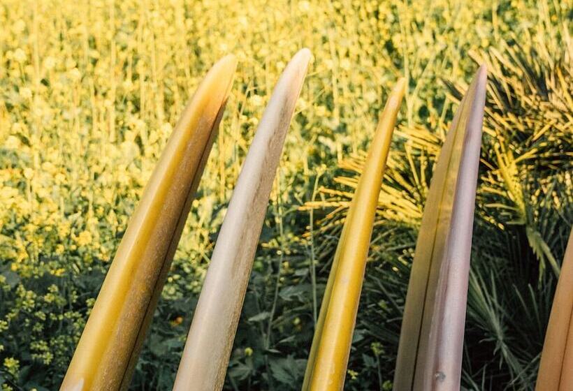 Отель The Surfrider Malibu