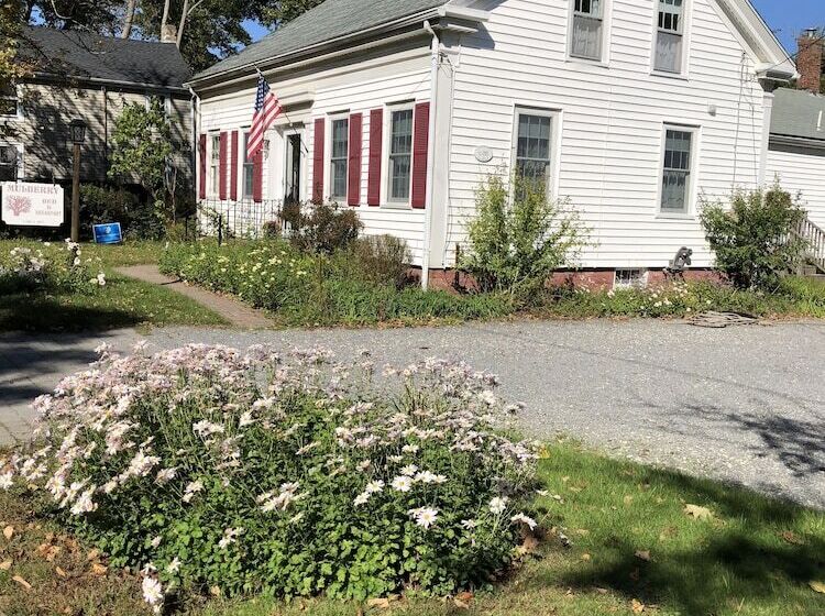 Mulberry Bed & Breakfast