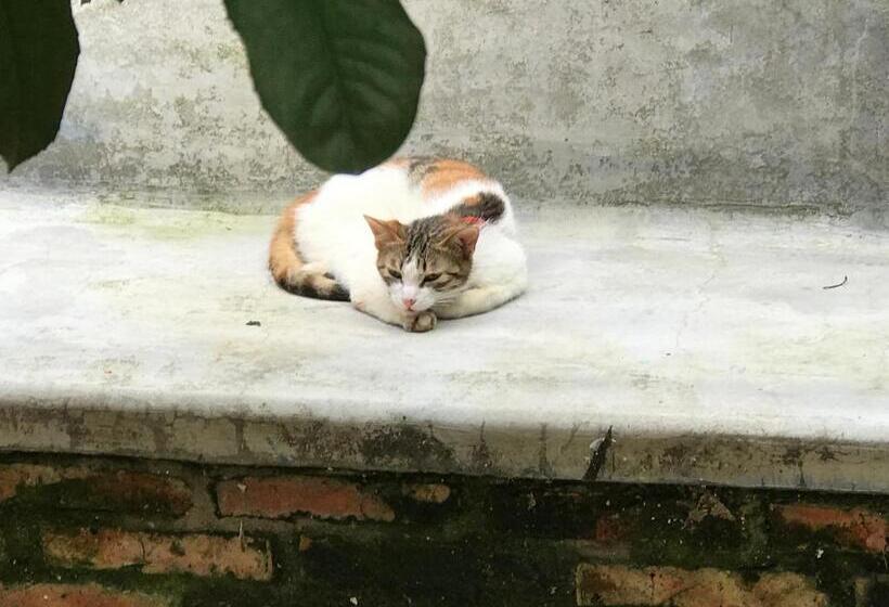 No. 6 Cuobian Hostel