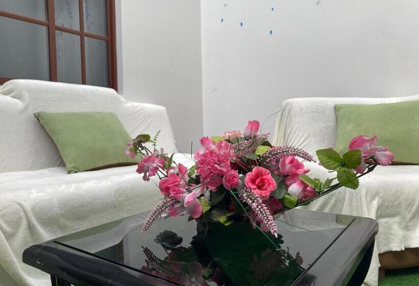 پانسیون Hostal Arauco