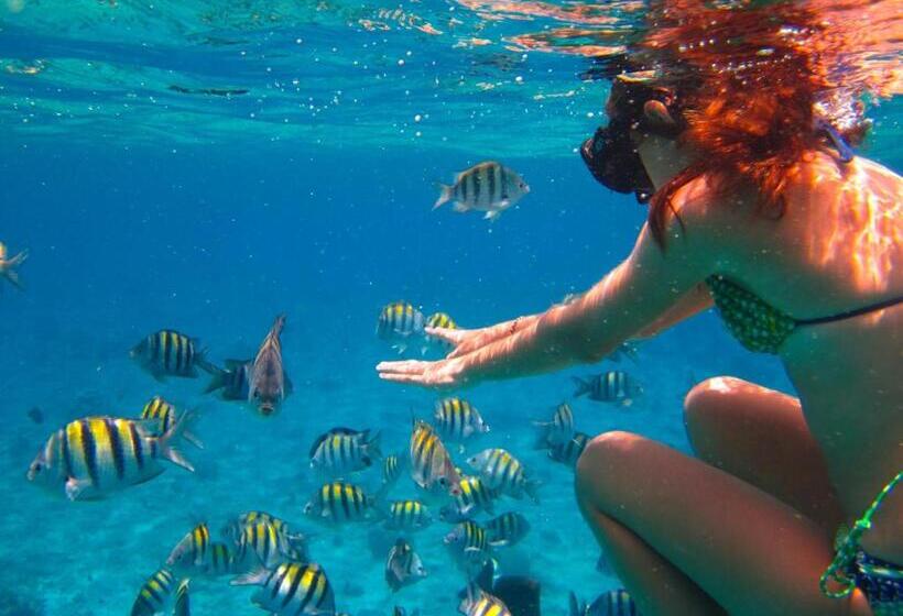 פנסיון Hulhan Gu Lodge