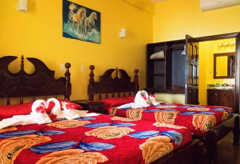 پانسیون Inn At White Horse Guest House