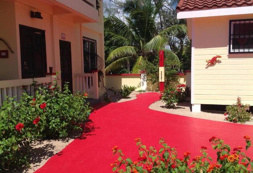 پانسیون Inn At White Horse Guest House