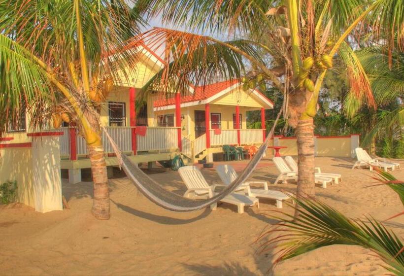 پانسیون Inn At White Horse Guest House