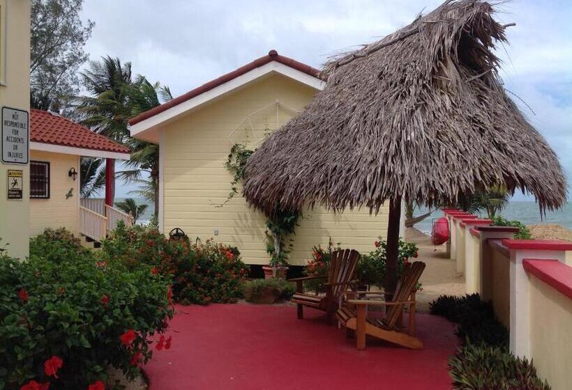 پانسیون Inn At White Horse Guest House