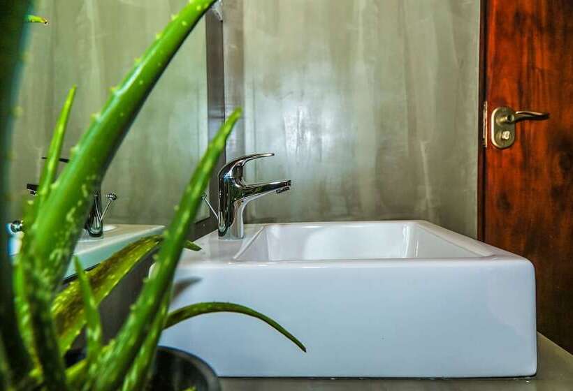 פנסיון Iva Belvedere