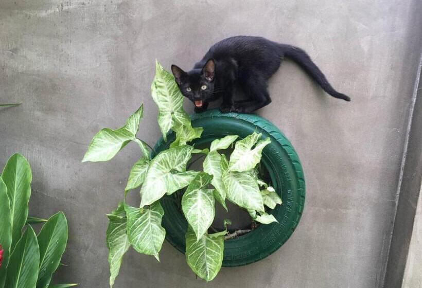 פנסיון Iva Belvedere