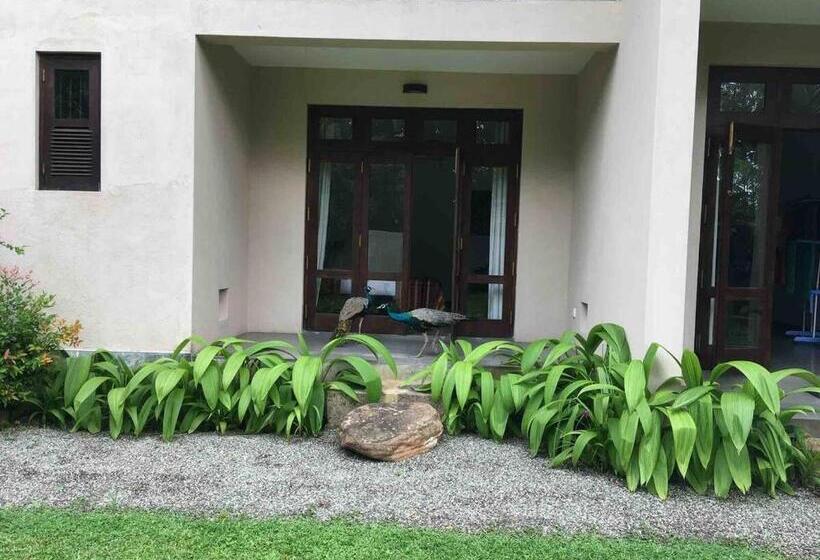 פנסיון Iva Belvedere