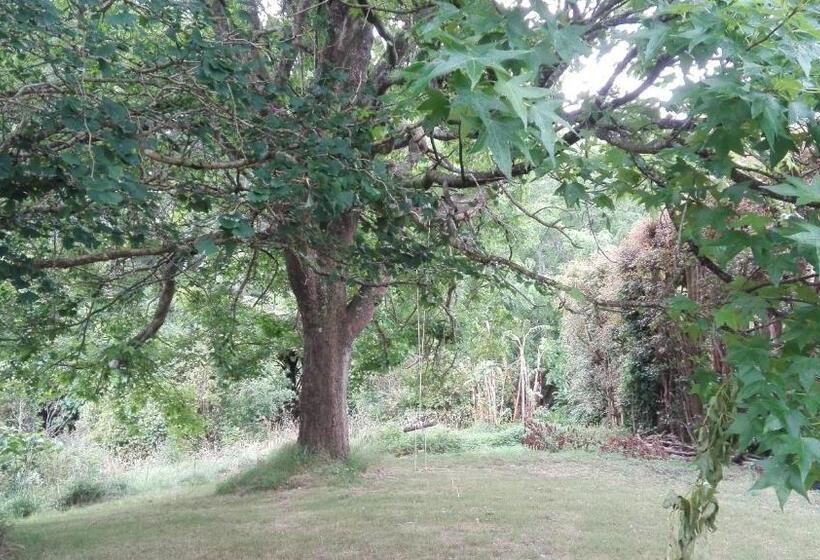 פנסיון Purple Hen Country Lodge