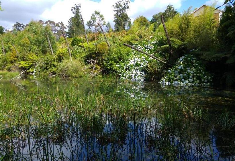 פנסיון Purple Hen Country Lodge