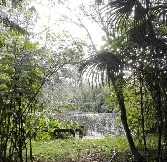 פנסיון Purple Hen Country Lodge