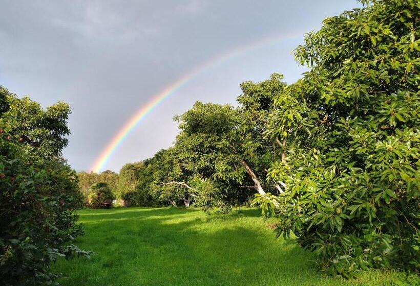 פנסיון Purple Hen Country Lodge