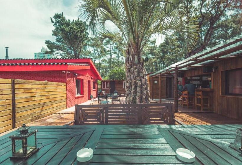 Пансион Rocamar Hostel Boutique