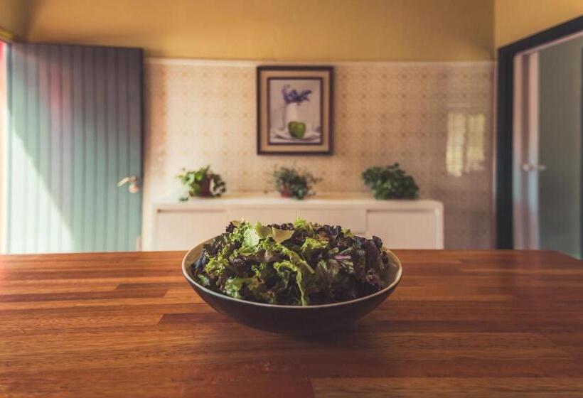 Пансион Rocamar Hostel Boutique