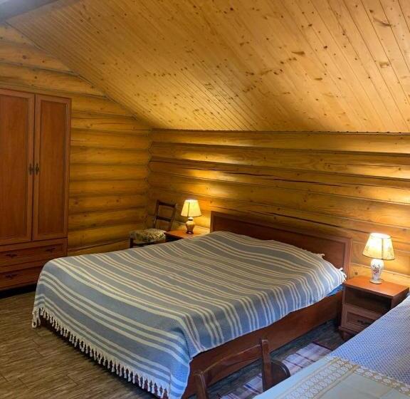 پانسیون U Druziv