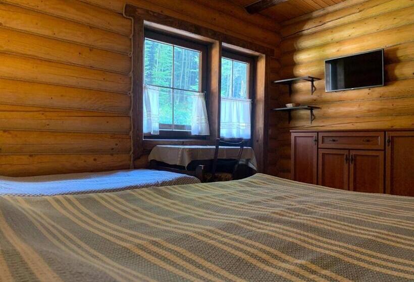 پانسیون U Druziv