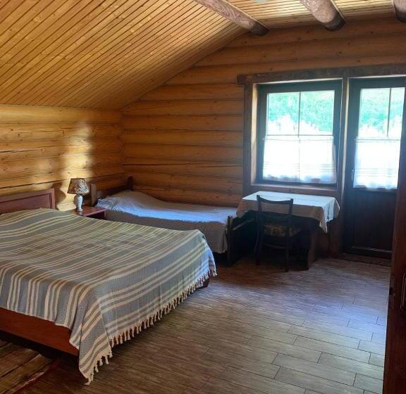 پانسیون U Druziv