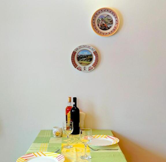 پانسیون U Druziv