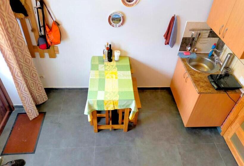 پانسیون U Druziv