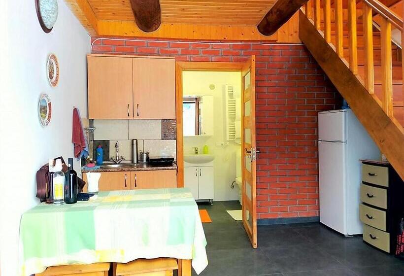 پانسیون U Druziv