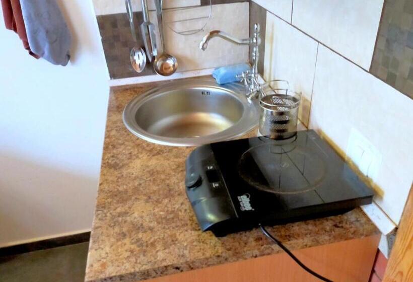 پانسیون U Druziv