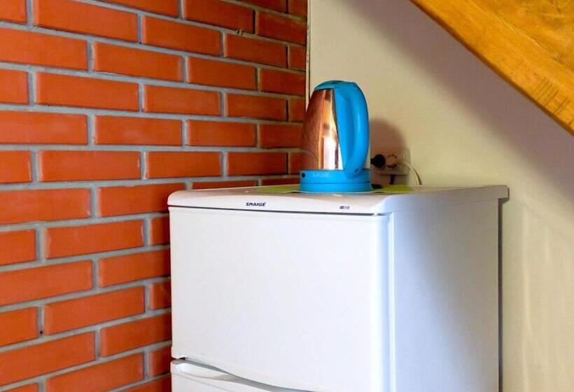 پانسیون U Druziv