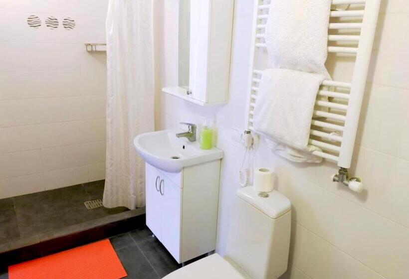 پانسیون U Druziv