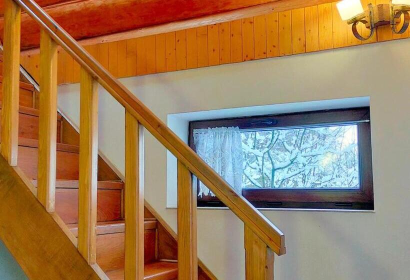 پانسیون U Druziv