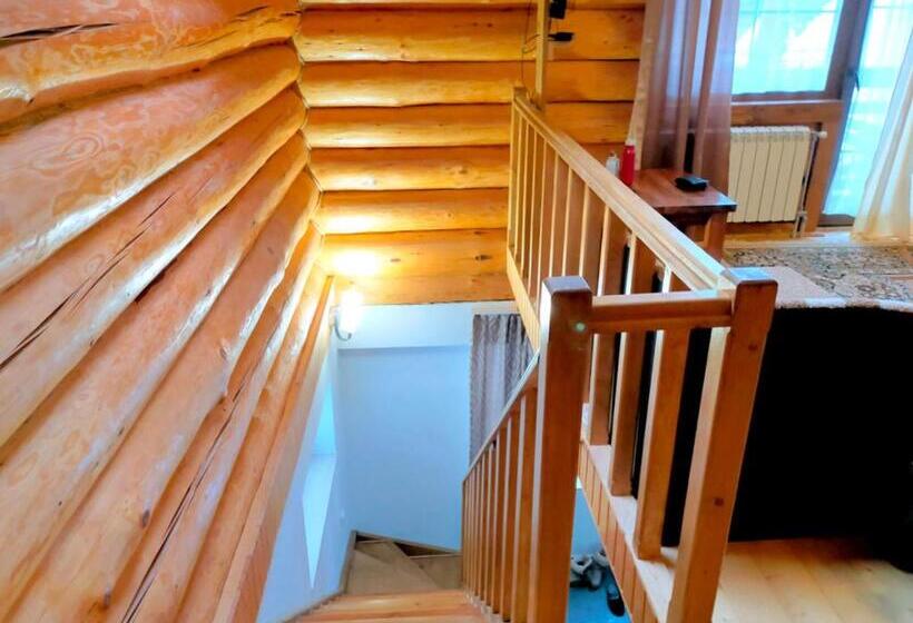 پانسیون U Druziv