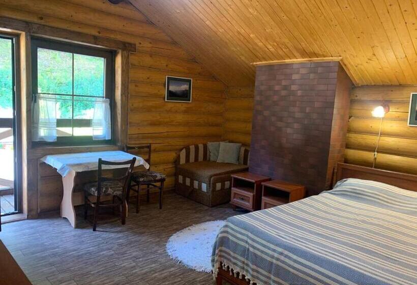 پانسیون U Druziv