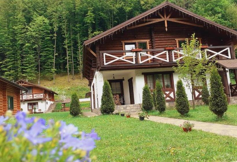 پانسیون U Druziv