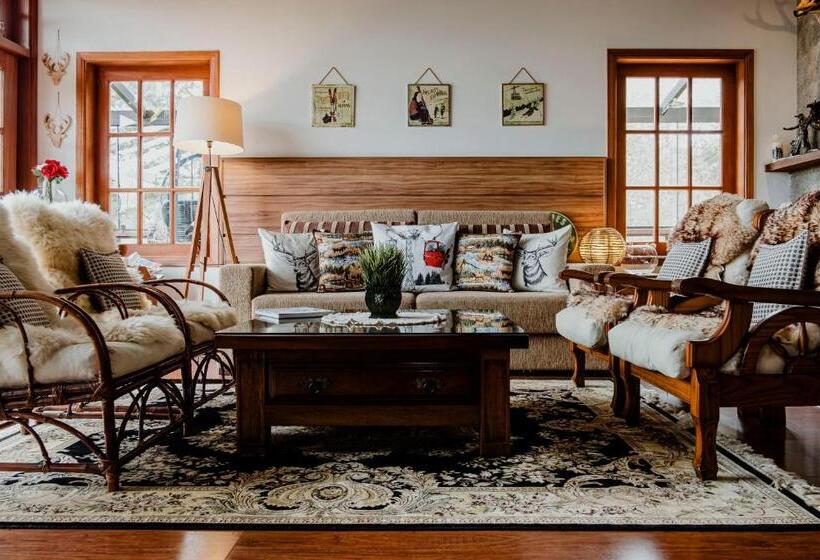 بنسيون Ville De France