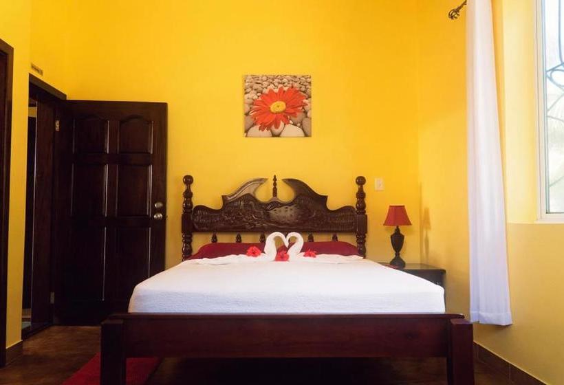 پانسیون Inn At White Horse Guest House