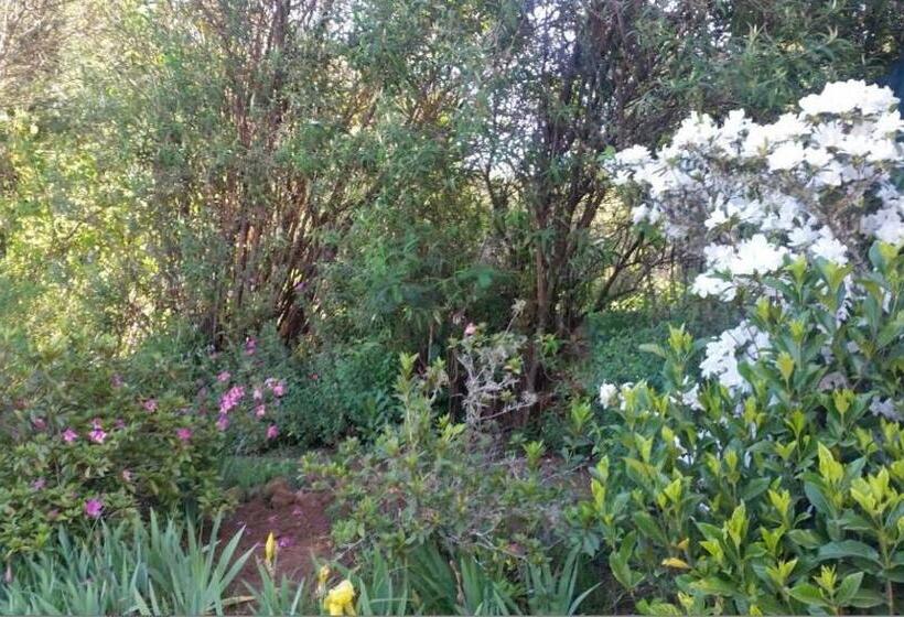 פנסיון Woodcutters Guest House