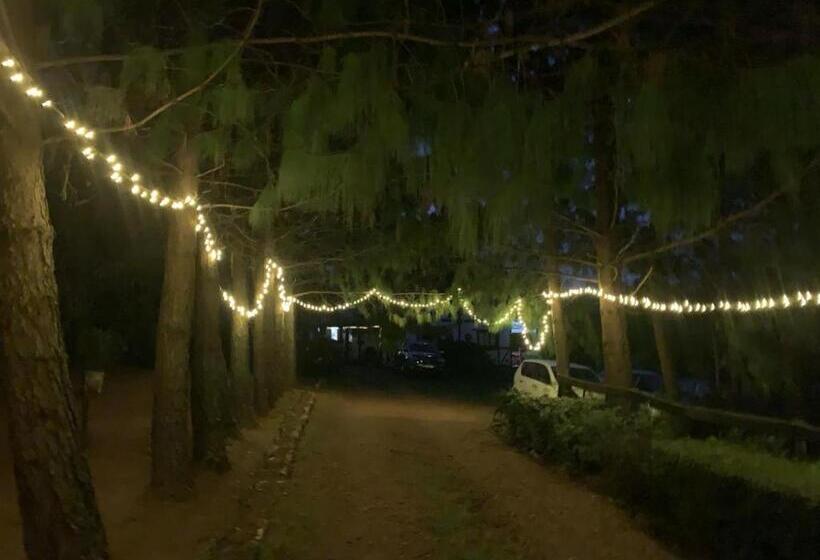 פנסיון Woodcutters Guest House