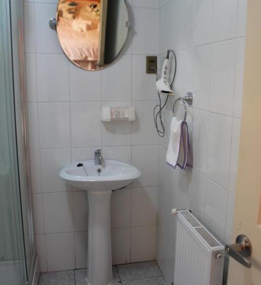 فندق صغير Hostal Baquedano