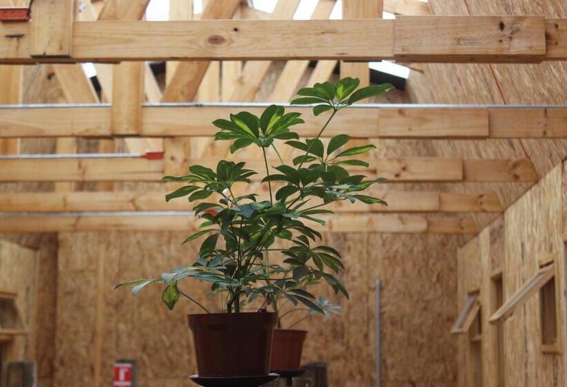 فندق صغير Hostal Baquedano