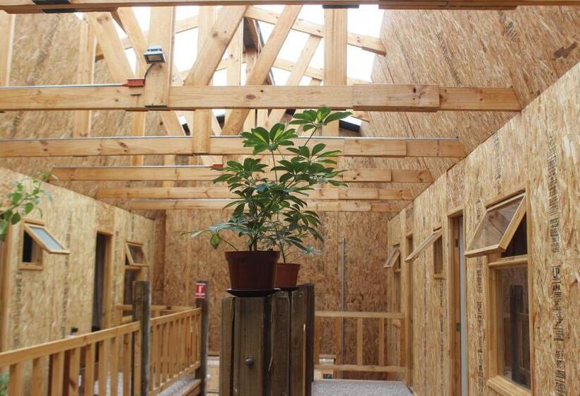 فندق صغير Hostal Baquedano