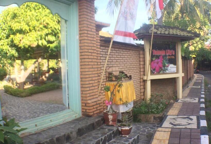 הוסטל Taman Lily S