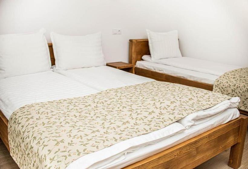 Hotel Pensiunea Poienita Apusenilor