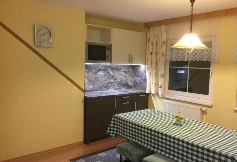 膳宿费 Apartman U Hanicky