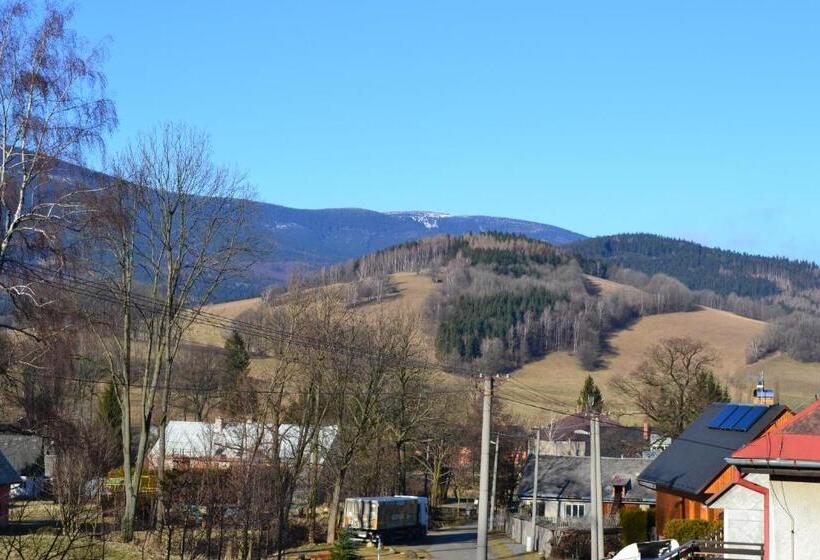 膳宿费 Apartman U Hanicky