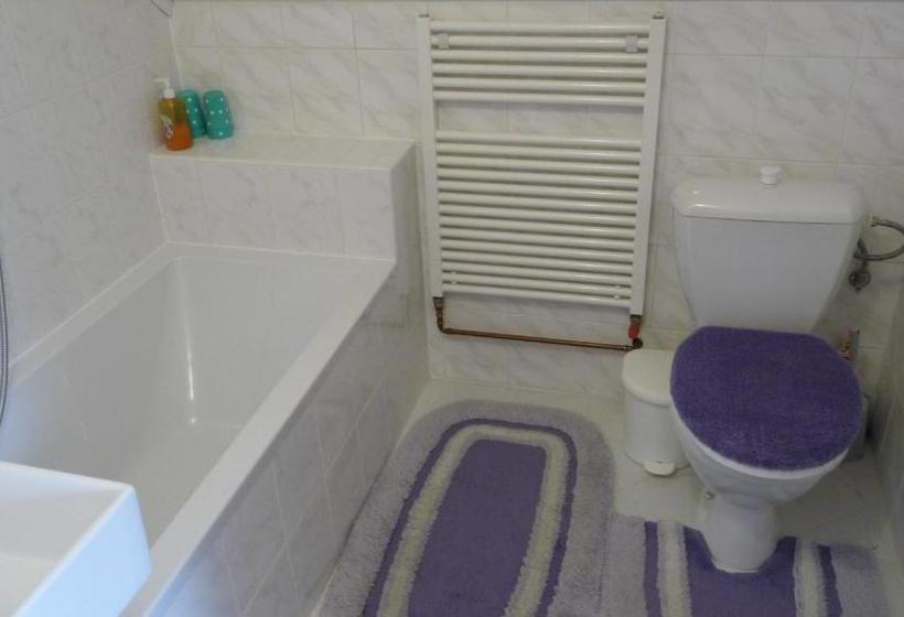 膳宿费 Apartman U Hanicky